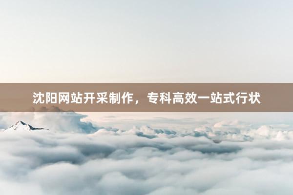 沈阳网站开采制作，专科高效一站式行状