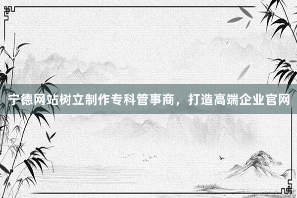 宁德网站树立制作专科管事商，打造高端企业官网