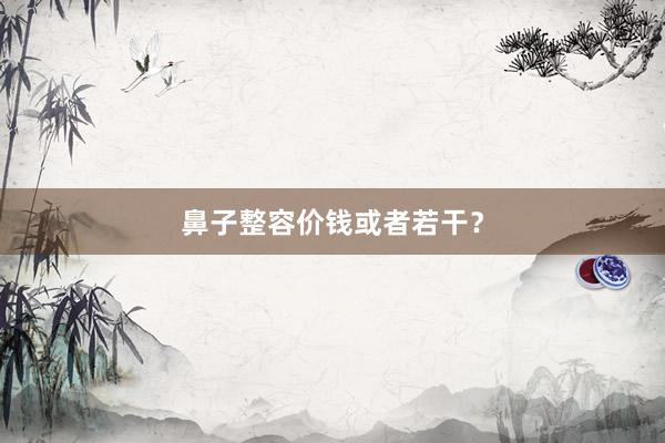 鼻子整容价钱或者若干？
