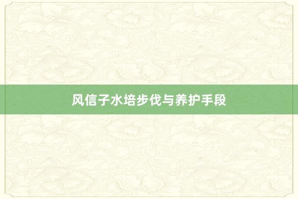 风信子水培步伐与养护手段